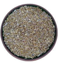 Yedi Değirmen Ham Buğday 1 kg