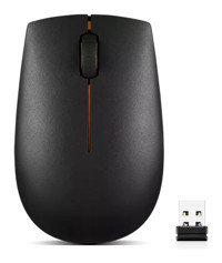 Lenovo 300 GX30K79402 Yatay Kablosuz Siyah Optik Mouse