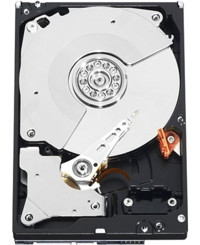 Western Digital WD1002FBYS 1 TB 3.5 inç 7200 rpm 32 MB SATA 3.0 PC Harddisk
