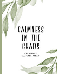 Calmness İn The Chaos Stryker, Autum Independently Publıshed
