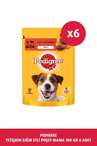 Pedigree Sığır Etli Aromalı Parça Etli Yetişkin Yaş Köpek Maması 100 gr 6'lı