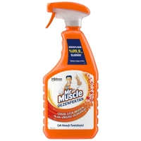 Mr. Muscle Dezenfektan Çok Amaçlı Temizleyici 750 ml
