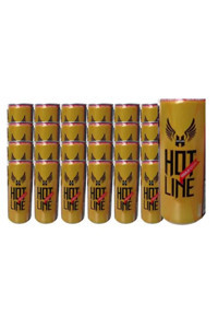 Hotline Enerji İçeceği 24 Adet 500 ml