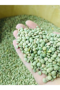 Dereköy Yöresel Ürünler Kır Yeşil Mercimek 1 kg
