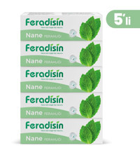 Feradisin Naneli Organik Florürsüz Diş Macunu 5x90 ml