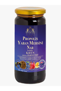 Lexton Harnup Pekmez 310 gr