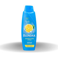 Blendax Kepek Karşıtı Düz Saçlar İçin Kremsiz Şampuan Unisex Şampuanı 3x500 ml