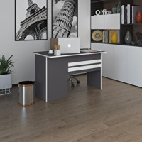 Kenzlife Dolaplı 75x60x130 cm Suntalam Gövdeli Antrasit Çalışma Masası