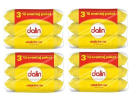 Dalin 672 Yaprak 12'li Islak Mendil