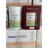 Bianca Stella Silikonlu Akrilik Su Bazlı Mat İç Cephe Boyası 500 ml Sahra