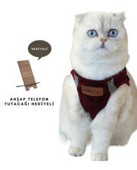 Ankaflex Düz Güvenlikli Bordo Gezdirme Göğüs Kedi Tasması