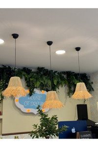 Lumexx 2'li Pembe Modern Hasır Salon Avize