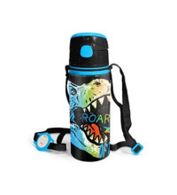 Coral Dinozor Pipetli Renkli Okul Çocuk Matara 600 ml