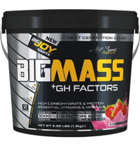 Bigjoy Bigmass +Gh Factors Mass Çilek Aromalı 12 Servis Kas Yapıcı Gainer 1200 gr Toz