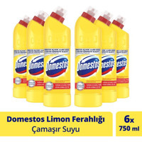 Domestos Kokulu İçin Konsantre Sıvı Çamaşır Suyu 6x750 ml