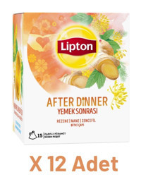 Lipton After Dinner Nane-Rezene-Zencefil Karışık Bitki Çayı 15x12 Adet