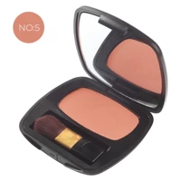 Sheida Silken No:05 Mat Toz Allık Paleti
