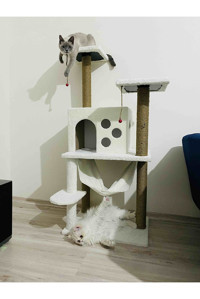 Cathause Cth15 Kare İç Mekan Kedi Evi Beyaz