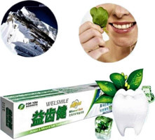 Winion Welsmile Naneli Florürsüz Diş Macunu 165 gr