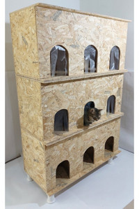 Kumsshop Dikdörtgen 3 Katlı Su Geçirmez Dış Mekan-İç Mekan Kedi Evi Ahşap Rengi