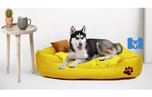 Mavi Vitrin Ultrasoft Yıkanabilir Büyük Irk İç Mekan Köpek Yatağı Sarı