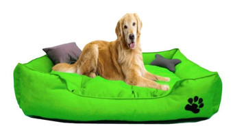 Mavi Vitrin Kumaş Yıkanabilir Büyük Irk İç Mekan Köpek Yatağı Yeşil