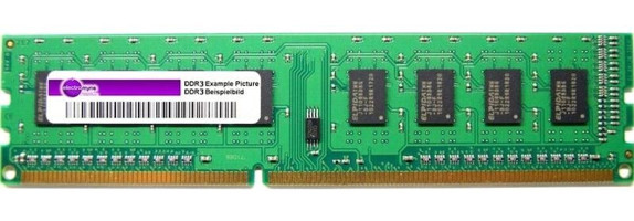 Micron MT18KSF1G72AZ-1G6E1ZE 8 GB DDR3 1x8 1600 MHz Ram