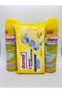 DOMOL Limon Kokulu Yüzey Temizleyici 2x500 ml