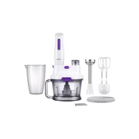 Regal Multi 1500 ml Plastik Hazneli Turbolu 4'lü Blender Seti Mor