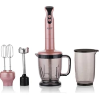 Schafer Meister Mega 1500 ml Turbolu 11'li Blender Seti Rose Gold