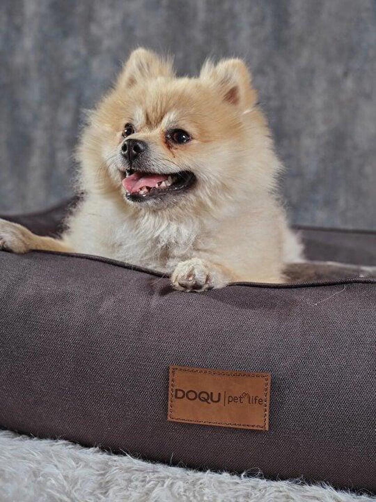 Mikasa Moor Dogbed Küçük Irk İç Mekan Köpek Yatağı Gri