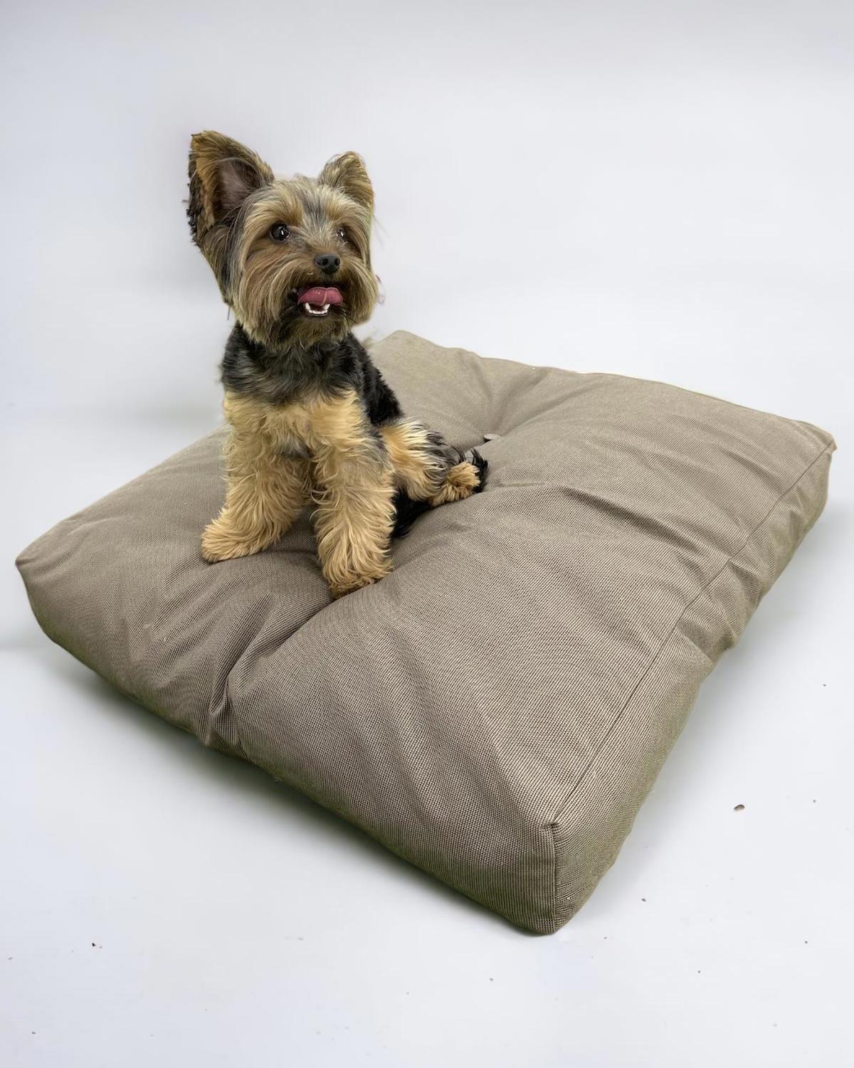 Kemique My Beige Küçük Irk İç Mekan Köpek Yatağı Bej