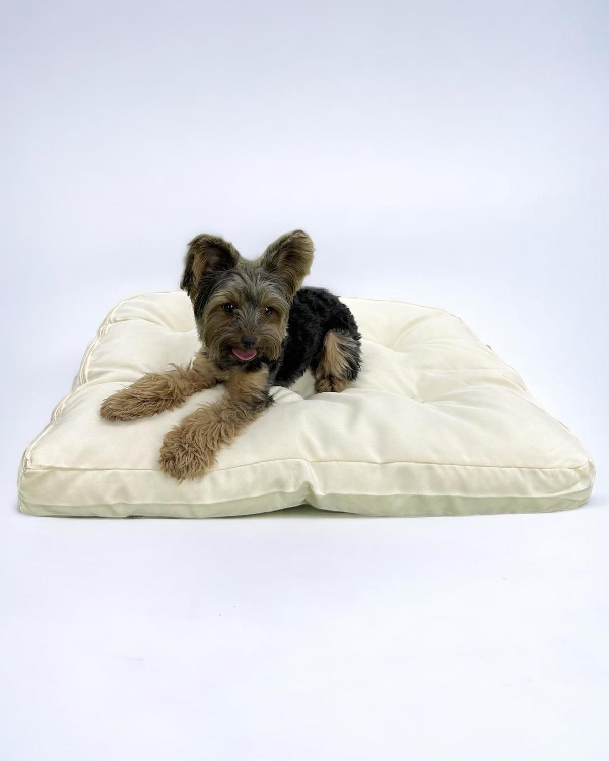 Kemique Softie White 010 Küçük Irk İç Mekan Köpek Yatağı Krem