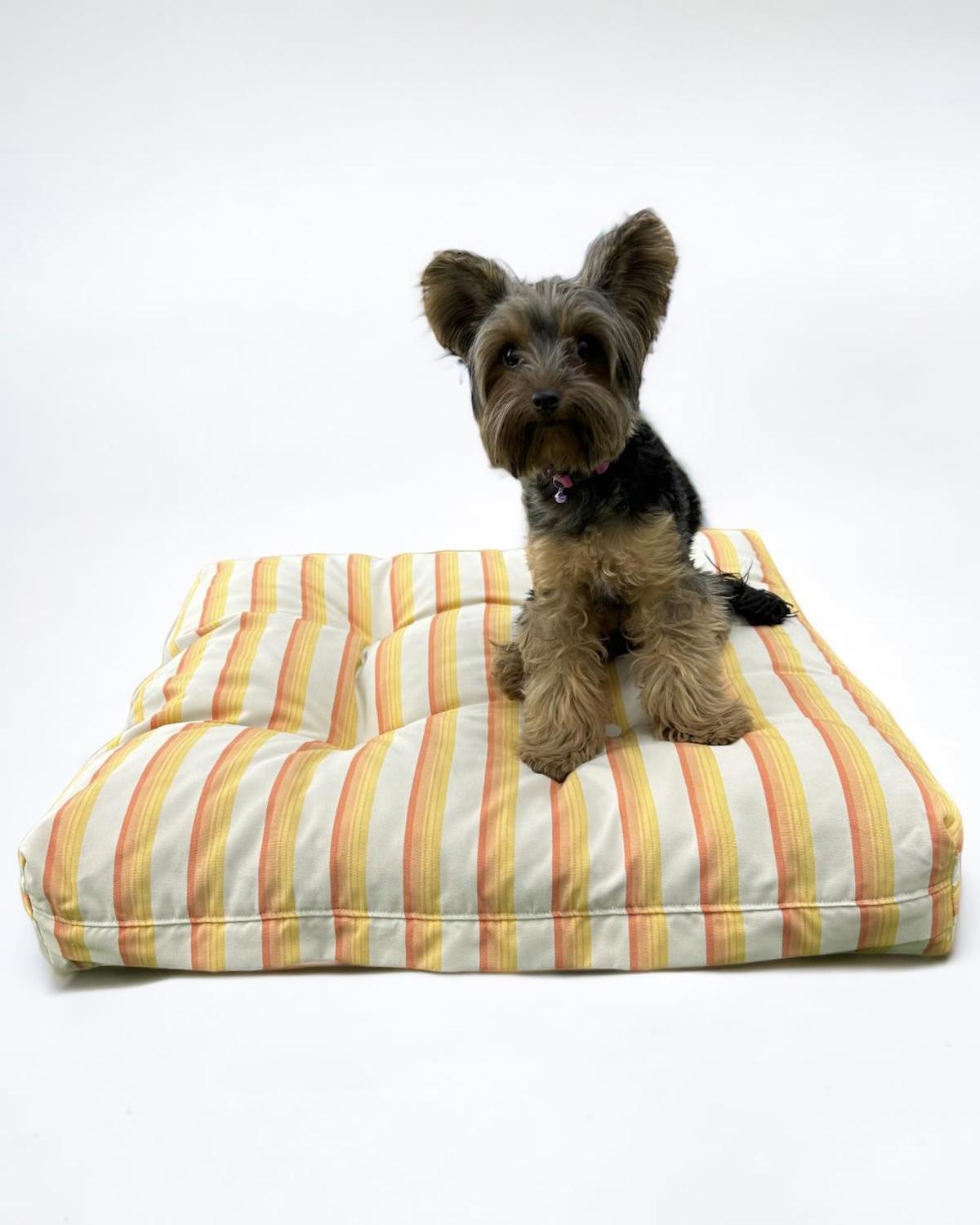 Kemique Sunny Stripe 011 Küçük Irk İç Mekan Köpek Yatağı Ekru
