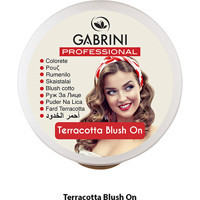 Gabrini Terracotta No:37 Işıltılı Toz Allık