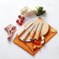 Karaca Angle Steak 4 Parça Bıçak Seti