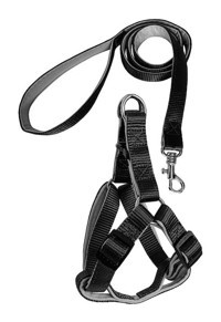 Markapet 73-110 cm Ayarlanabilir Göğüs H Tipi Köpek Tasması Siyah