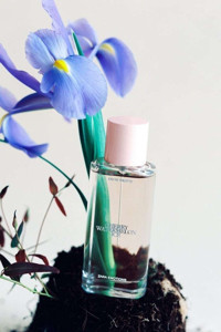 Zara Cherry Watermelon Ice EDT Meyvemsi-Sandal Erkek Parfüm 40 ml