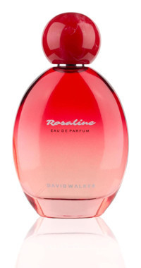 David Walker Feminen Colorful Rosalıne Erkek Parfüm 100 ml