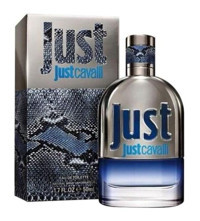 Just Cavalli EDT Meyveli-Odunsu Erkek Parfüm 50 ml