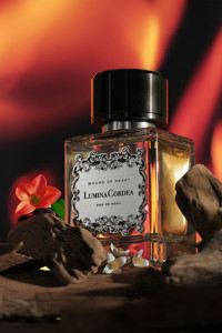 Lumina Cordea Wound Of Heart Baharatlı-Odunsu Erkek Parfüm 100 ml