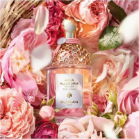 Guerlain Aqua Allegoria Harvest EDT Ferah-Sandal Erkek Parfüm 125 ml