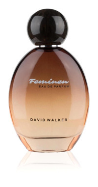 David Walker Feminen Colourful Erkek Parfüm 100 ml