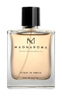Magnaroma Premium Fragrances Charismatique EDP Meyveli-Oryantal Erkek Parfüm 100 ml