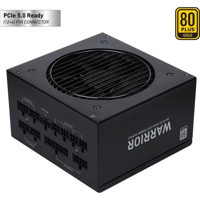 Power Boost Warrior BST-ATX0850GF1 850 W 80+ Gold Tam Modüler Powersupply