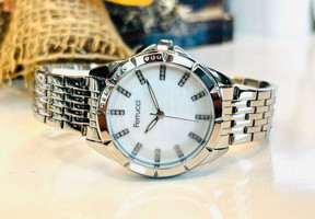 Ferrucci FC.0223-14376M.01 33 mm Gri Çelik-Hasır Kordon Analog Kadın Kol Saati