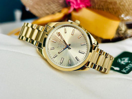 Jg. Polo Club JPC.0223-1376.4 33 mm Altın Çelik Kordon Analog Kadın Kol Saati