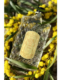 Soul Of Caria Mimoza Çiçeği Cam Şişe Kolonya 200 ml
