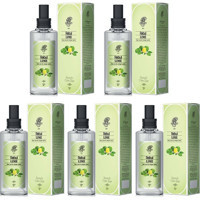 Rebul Lime Sprey Kolonya 5x100 ml