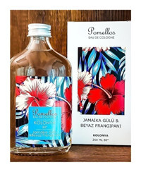 Pomellos Frangipani Gül Cam Şişe Kolonya 250 ml